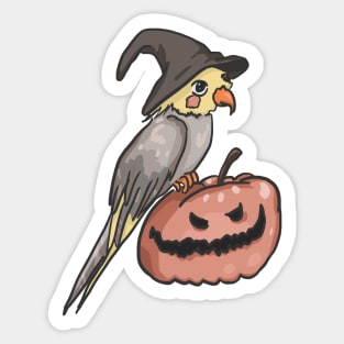 Halloween cockatiel with pumpkin and witch hat Sticker